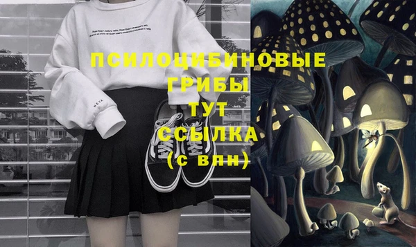 mdpv Рославль