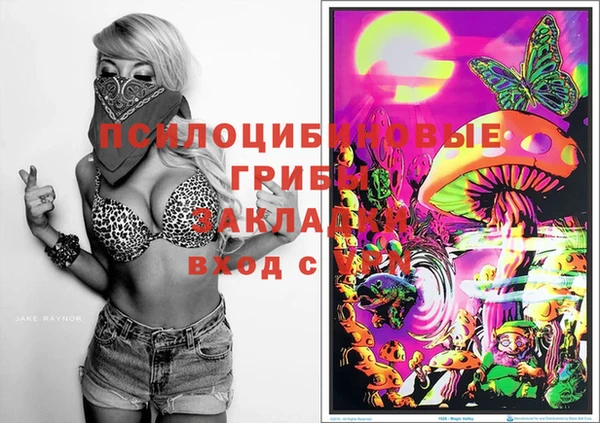 молекула духа Верея