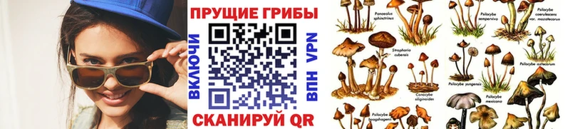 цены наркотик  Кизляр  Галлюциногенные грибы Magic Shrooms 